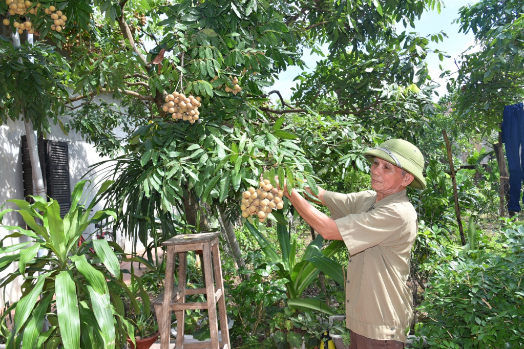 Cán bộ chi hội cựu chiến binh năng nổ, nhiệt tình